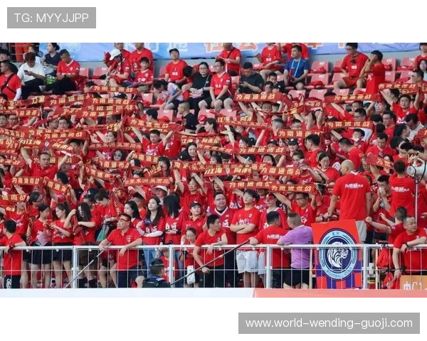 欧洲杯激战正酣，国家队新星表现引发球迷热议